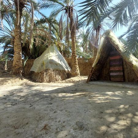 Forest Camp Siwa - كامب الغابة Siwa Oasis Buitenkant foto