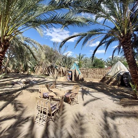 Forest Camp Siwa - كامب الغابة Siwa Oasis Buitenkant foto