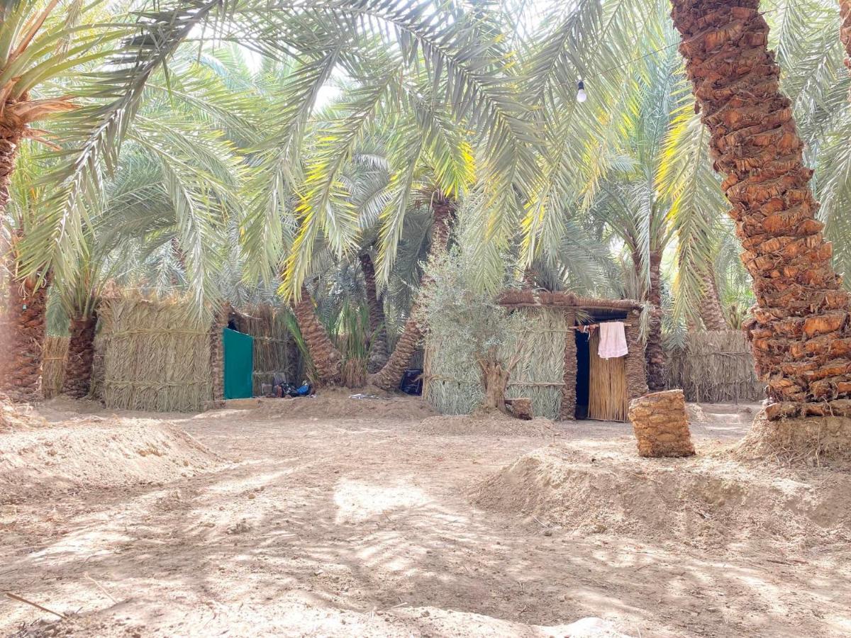 Forest Camp Siwa - كامب الغابة Siwa Oasis Buitenkant foto