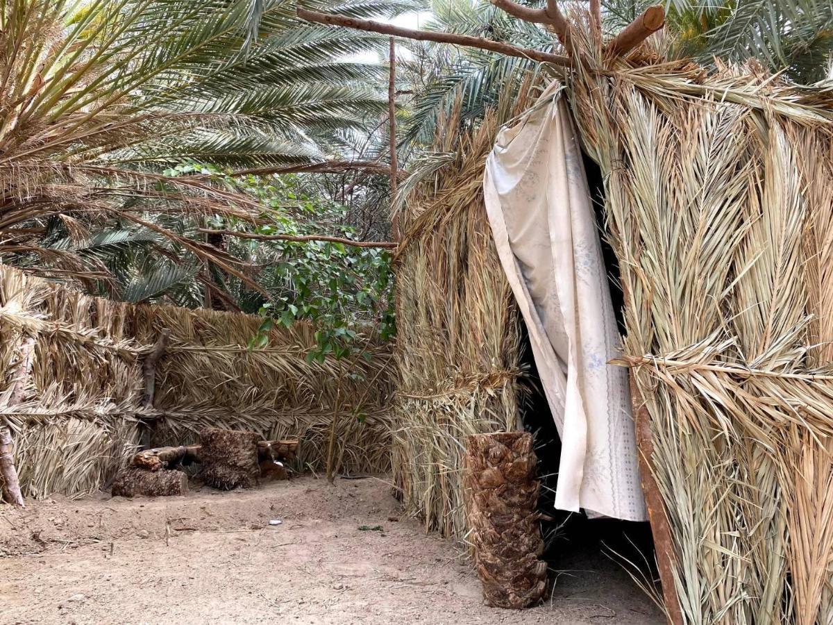 Forest Camp Siwa - كامب الغابة Siwa Oasis Buitenkant foto