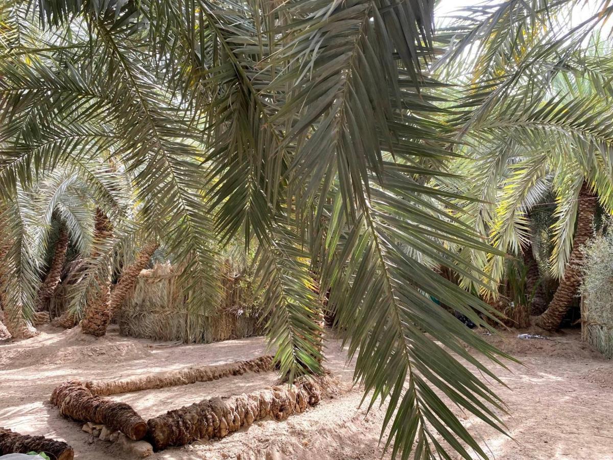 Forest Camp Siwa - كامب الغابة Siwa Oasis Buitenkant foto