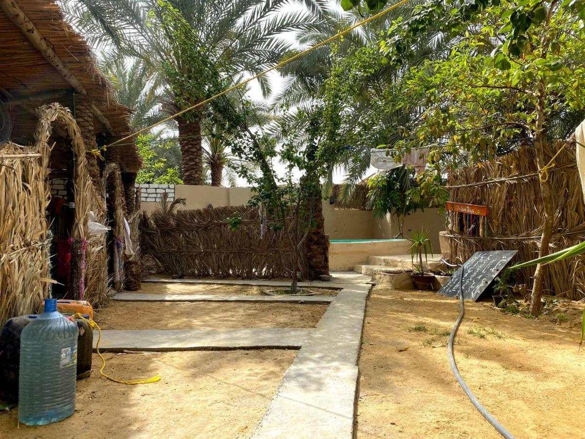 Forest Camp Siwa - كامب الغابة Siwa Oasis Buitenkant foto