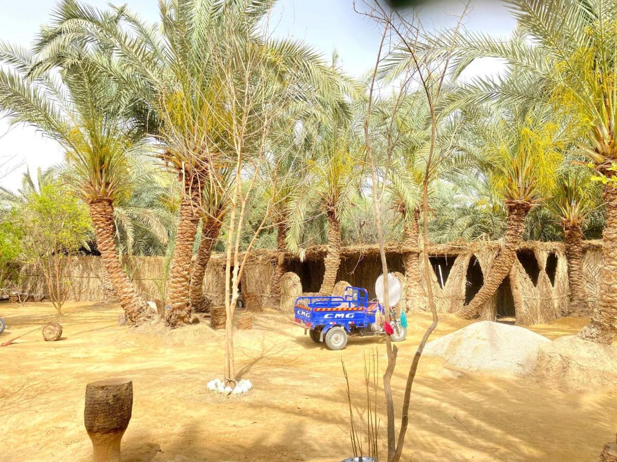 Forest Camp Siwa - كامب الغابة Siwa Oasis Buitenkant foto