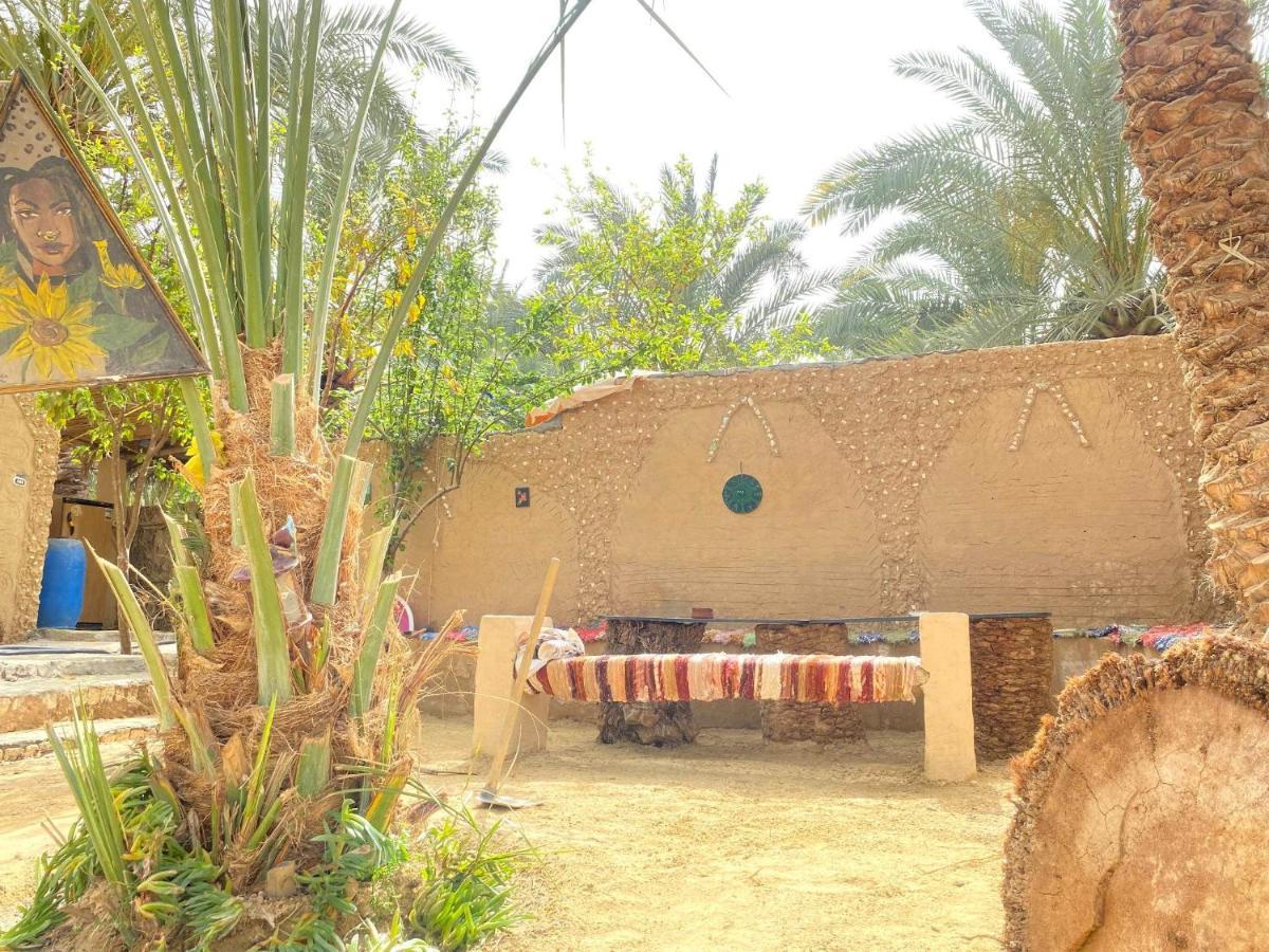 Forest Camp Siwa - كامب الغابة Siwa Oasis Buitenkant foto