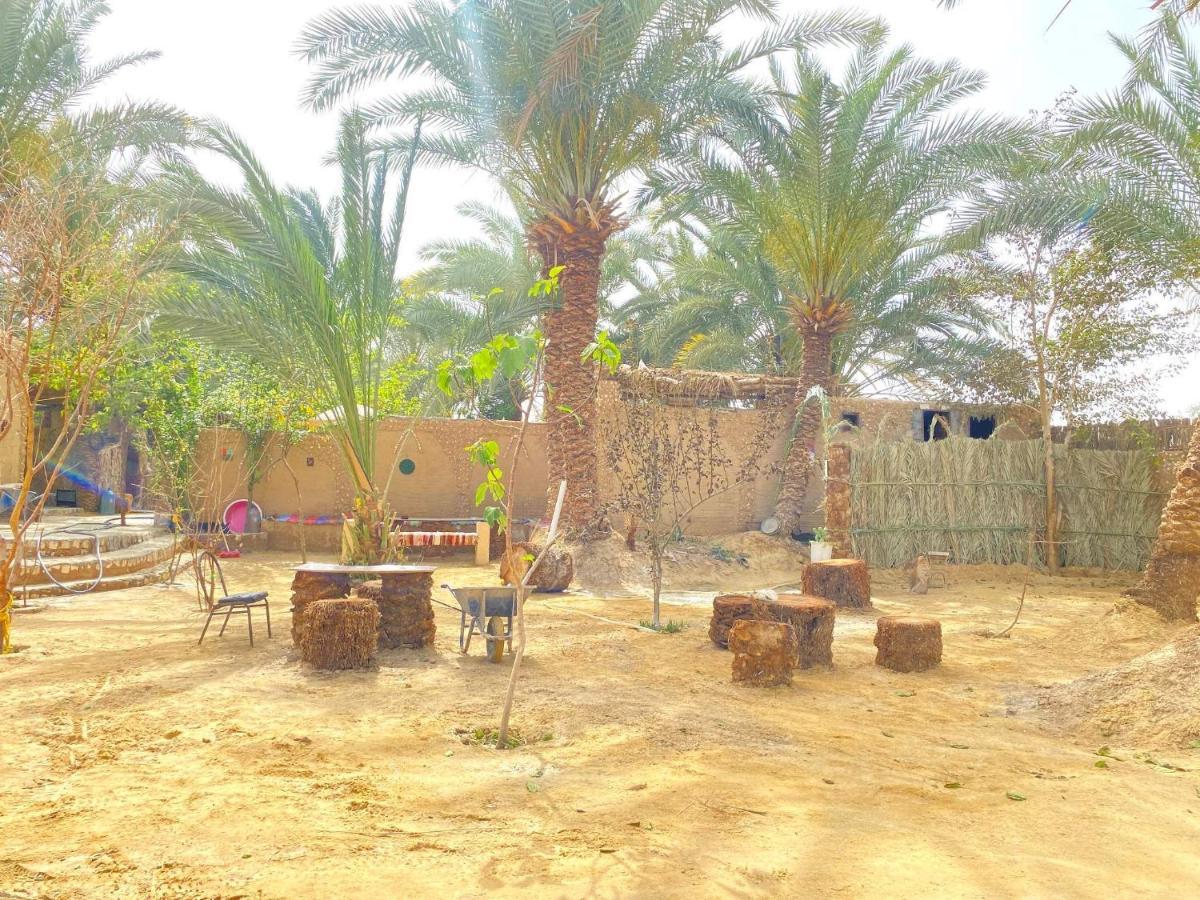 Forest Camp Siwa - كامب الغابة Siwa Oasis Buitenkant foto