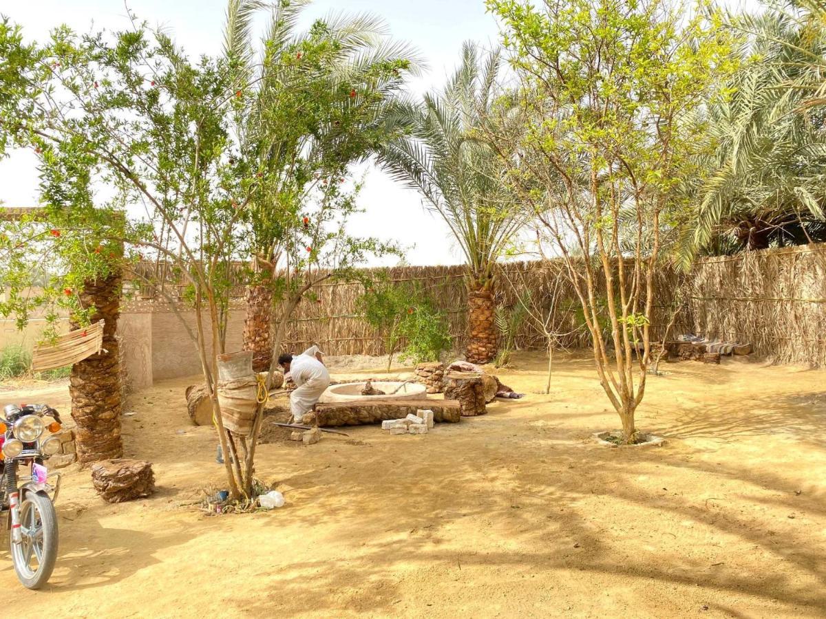 Forest Camp Siwa - كامب الغابة Siwa Oasis Buitenkant foto