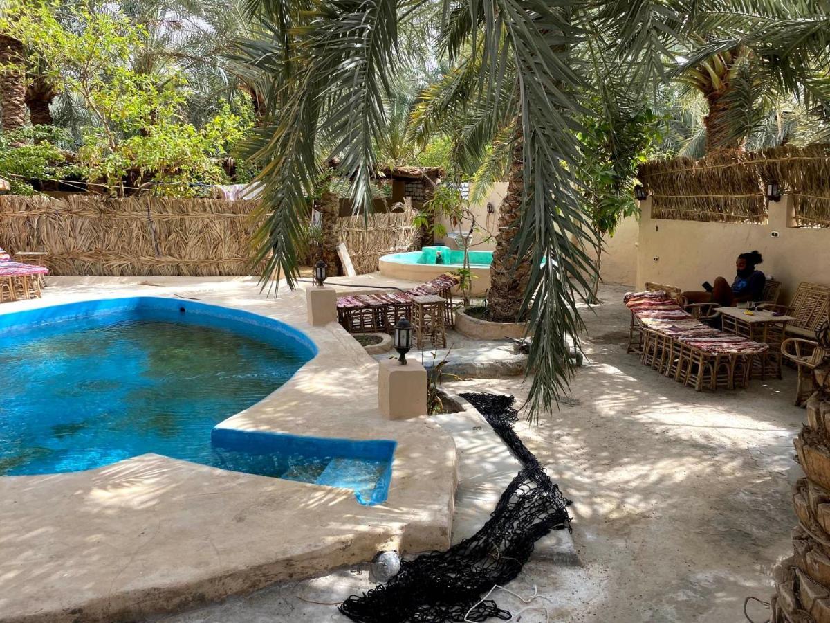 Forest Camp Siwa - كامب الغابة Siwa Oasis Buitenkant foto