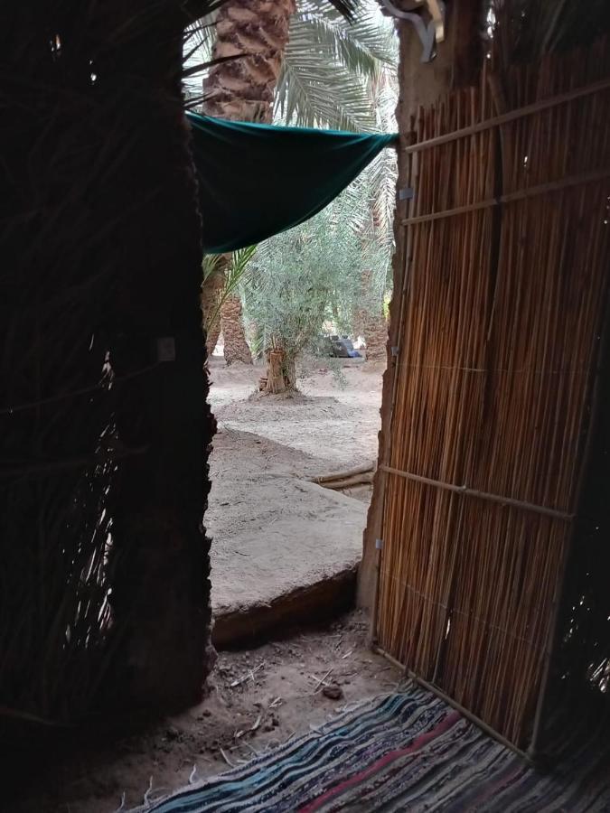 Forest Camp Siwa - كامب الغابة Siwa Oasis Buitenkant foto