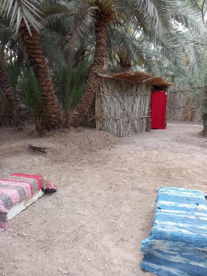 Forest Camp Siwa - كامب الغابة Siwa Oasis Buitenkant foto