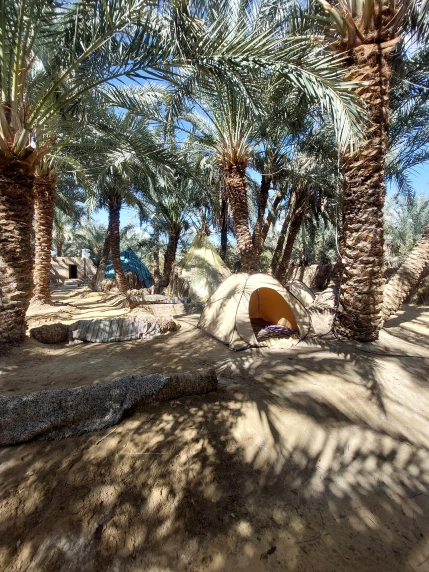 Forest Camp Siwa - كامب الغابة Siwa Oasis Buitenkant foto