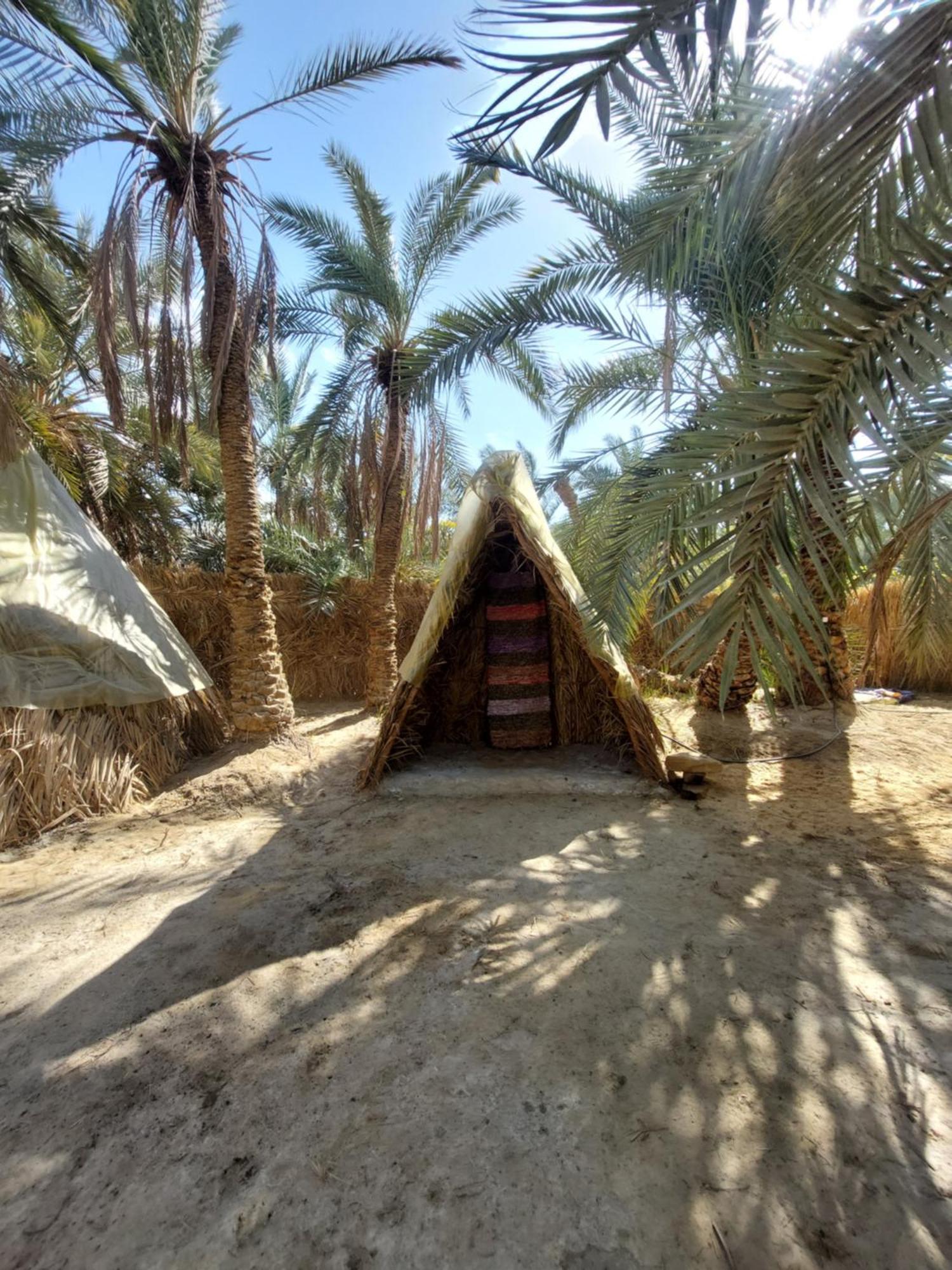 Forest Camp Siwa - كامب الغابة Siwa Oasis Buitenkant foto