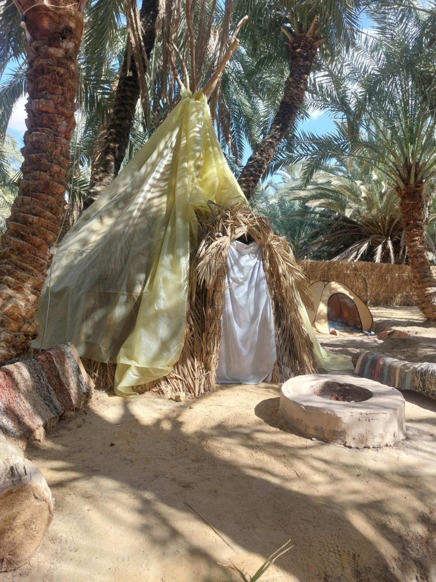 Forest Camp Siwa - كامب الغابة Siwa Oasis Buitenkant foto