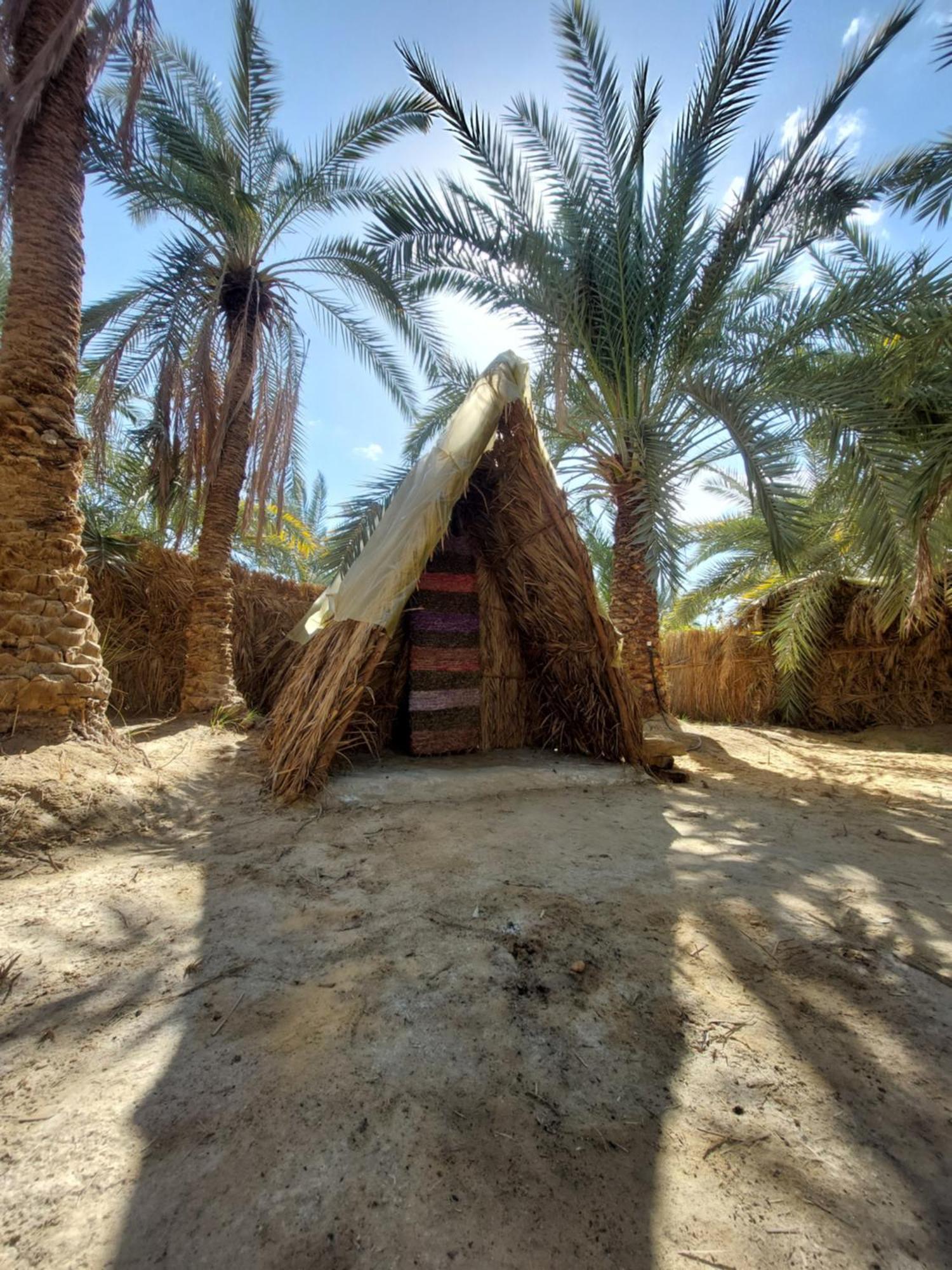 Forest Camp Siwa - كامب الغابة Siwa Oasis Buitenkant foto