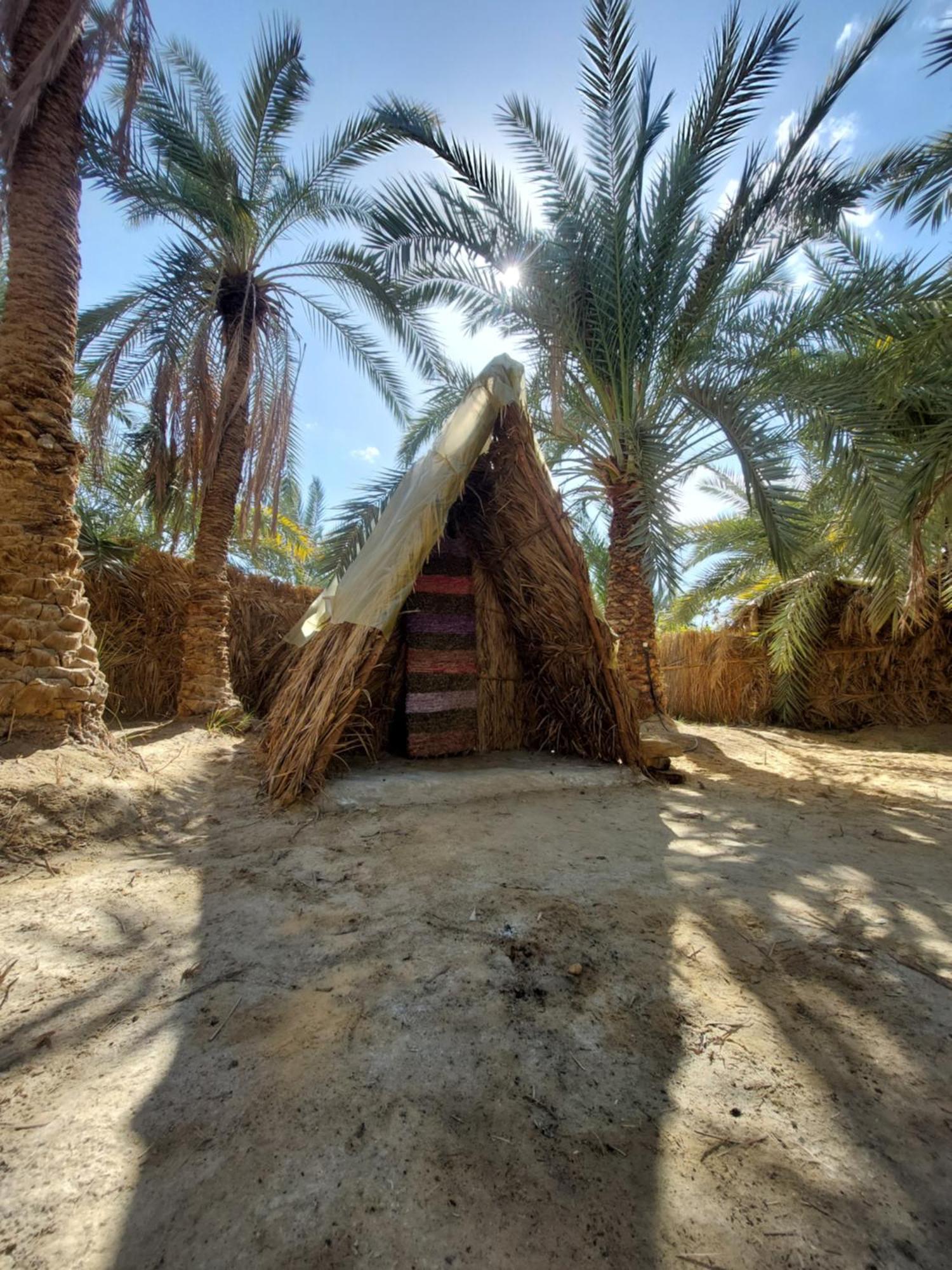Forest Camp Siwa - كامب الغابة Siwa Oasis Buitenkant foto