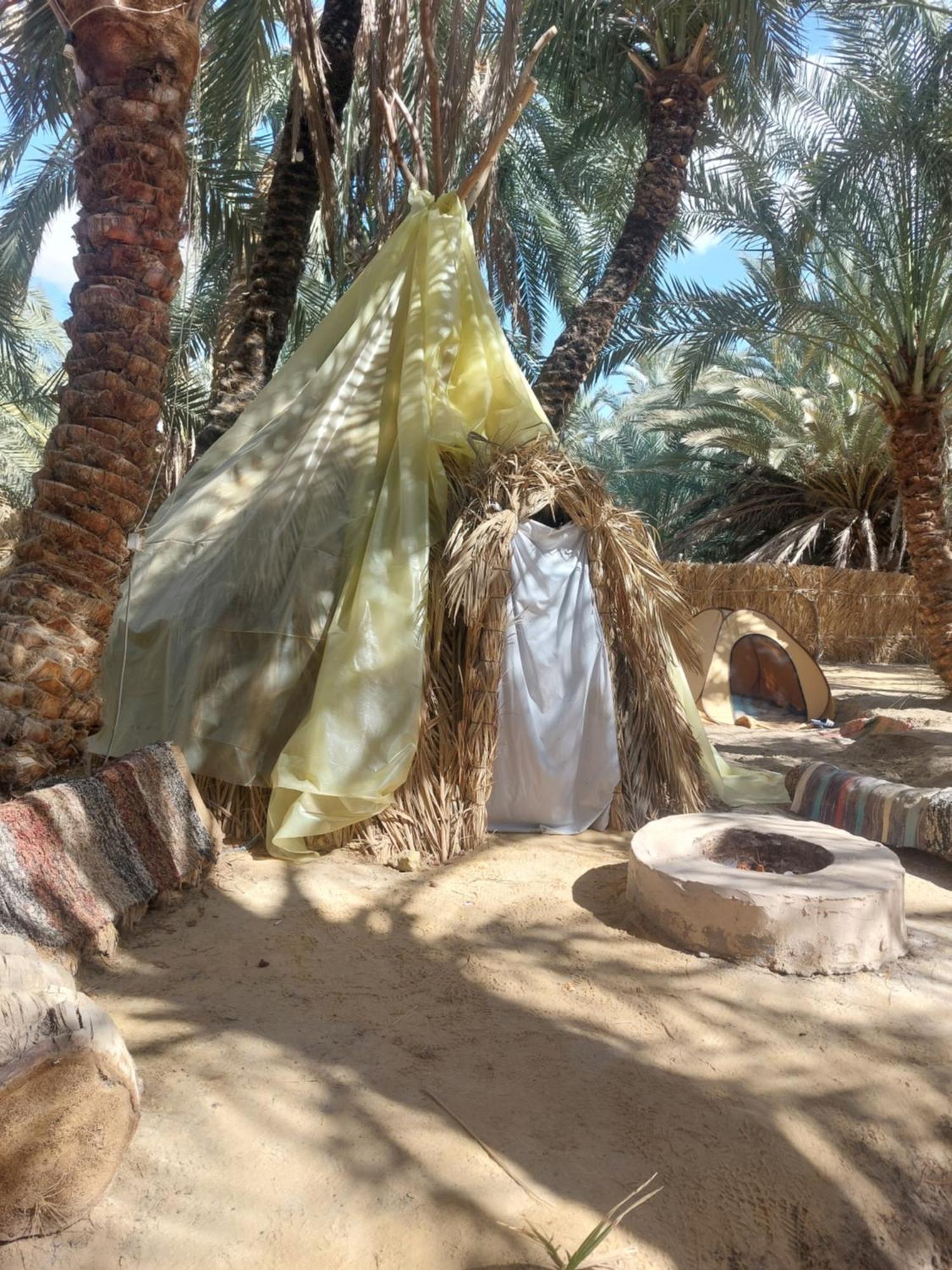 Forest Camp Siwa - كامب الغابة Siwa Oasis Buitenkant foto