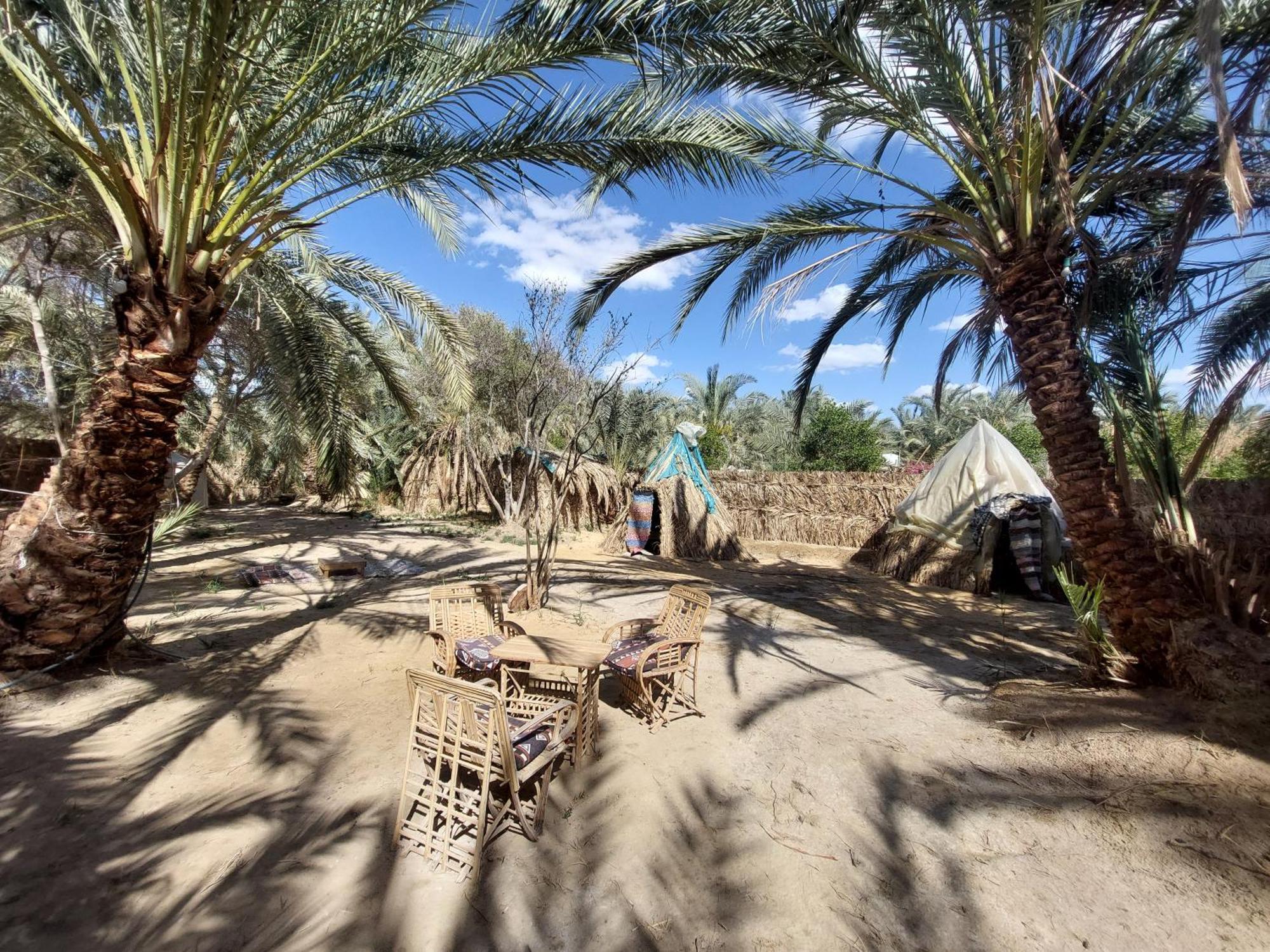 Forest Camp Siwa - كامب الغابة Siwa Oasis Buitenkant foto