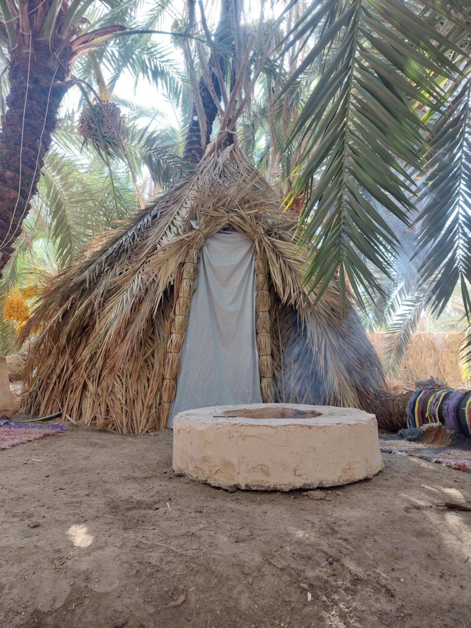 Forest Camp Siwa - كامب الغابة Siwa Oasis Buitenkant foto