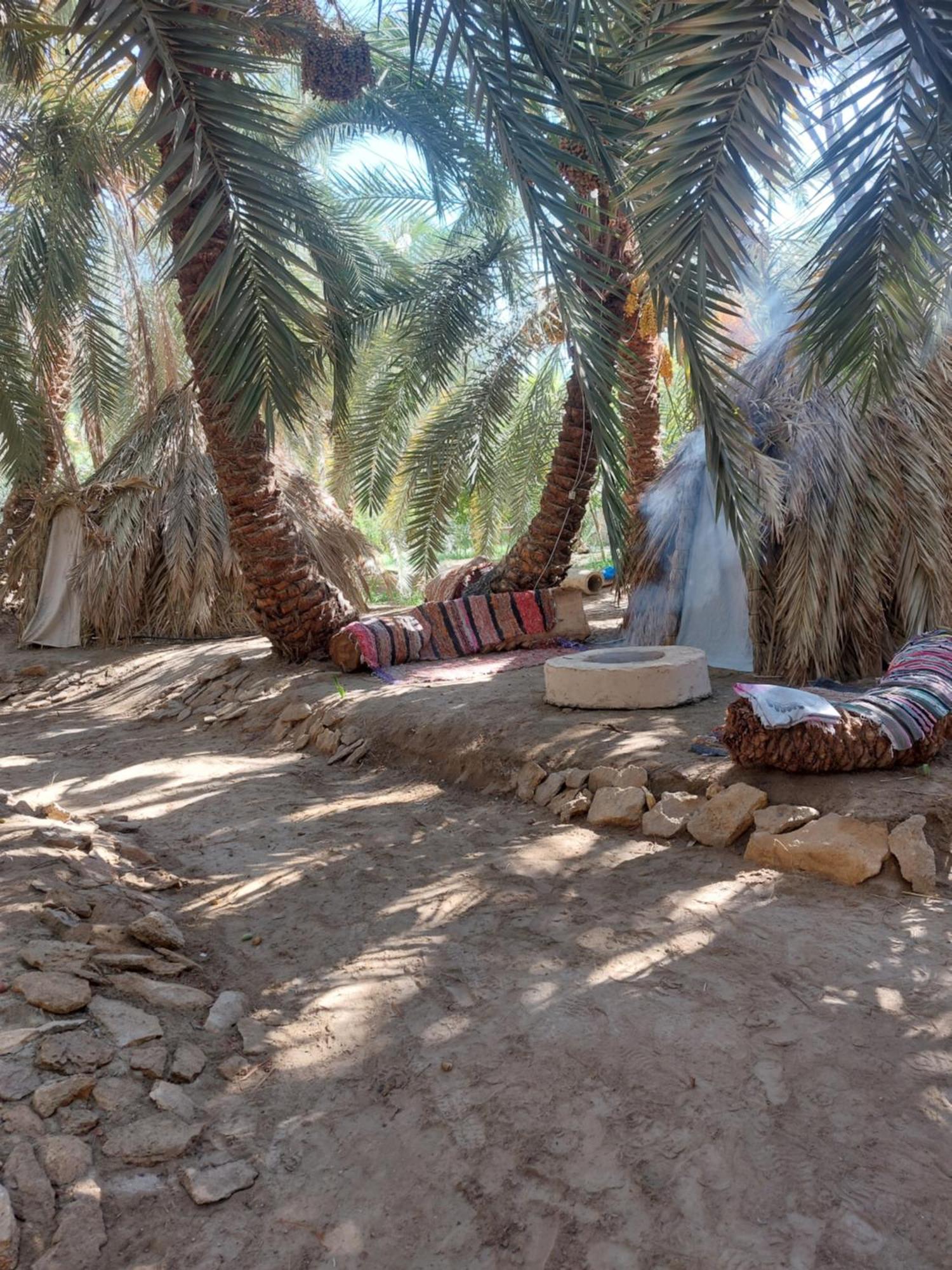 Forest Camp Siwa - كامب الغابة Siwa Oasis Buitenkant foto