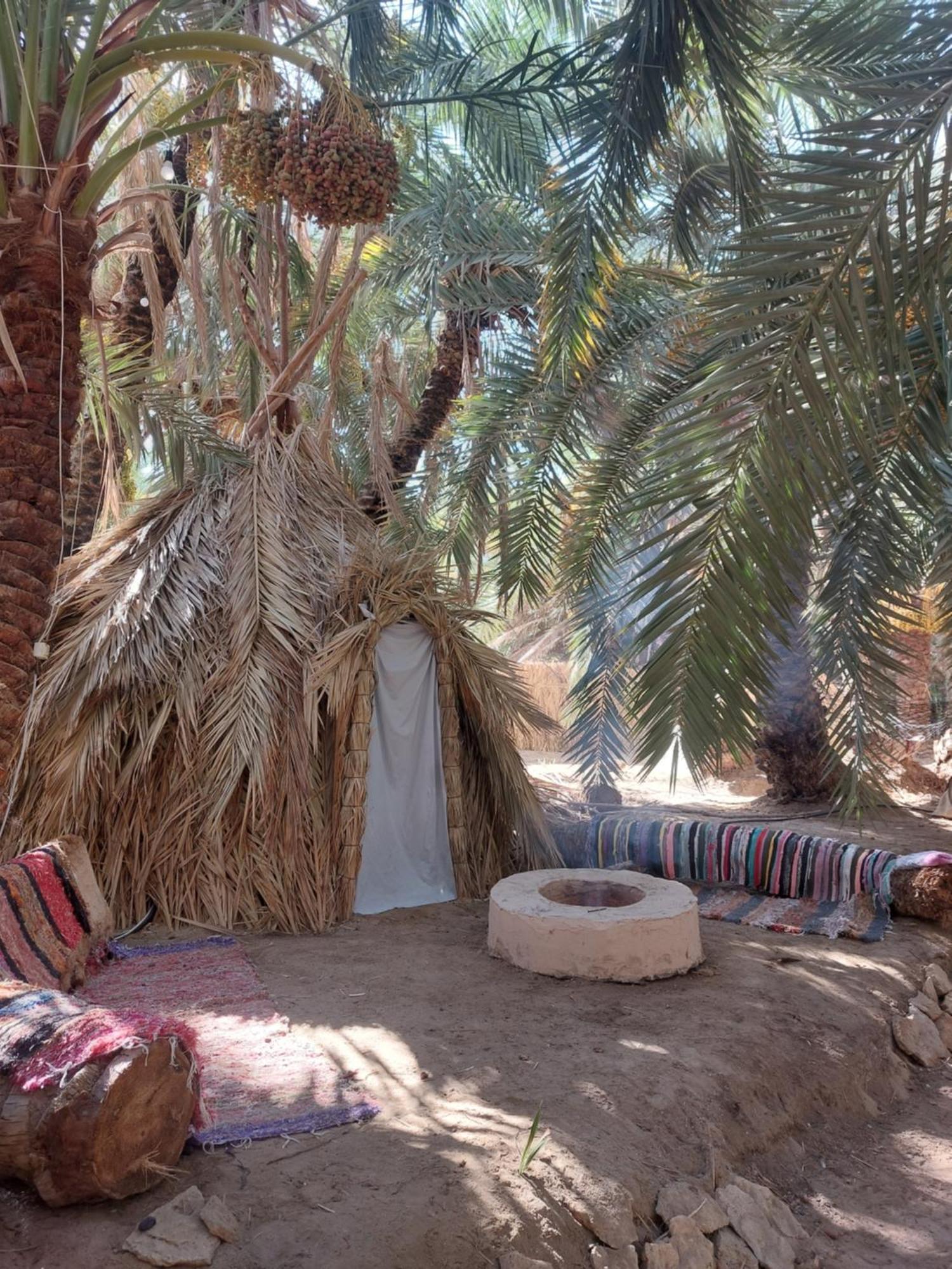 Forest Camp Siwa - كامب الغابة Siwa Oasis Buitenkant foto