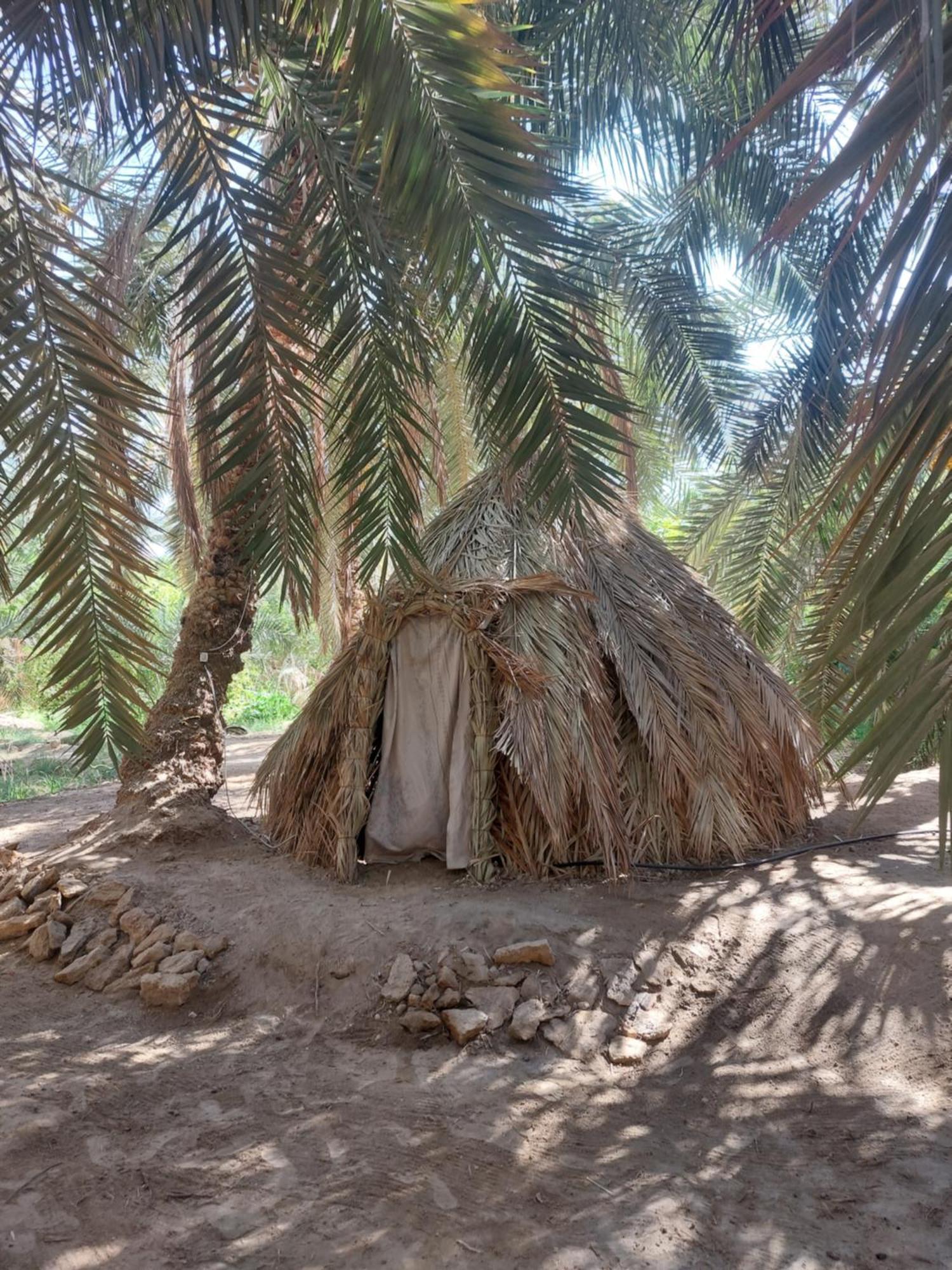 Forest Camp Siwa - كامب الغابة Siwa Oasis Buitenkant foto