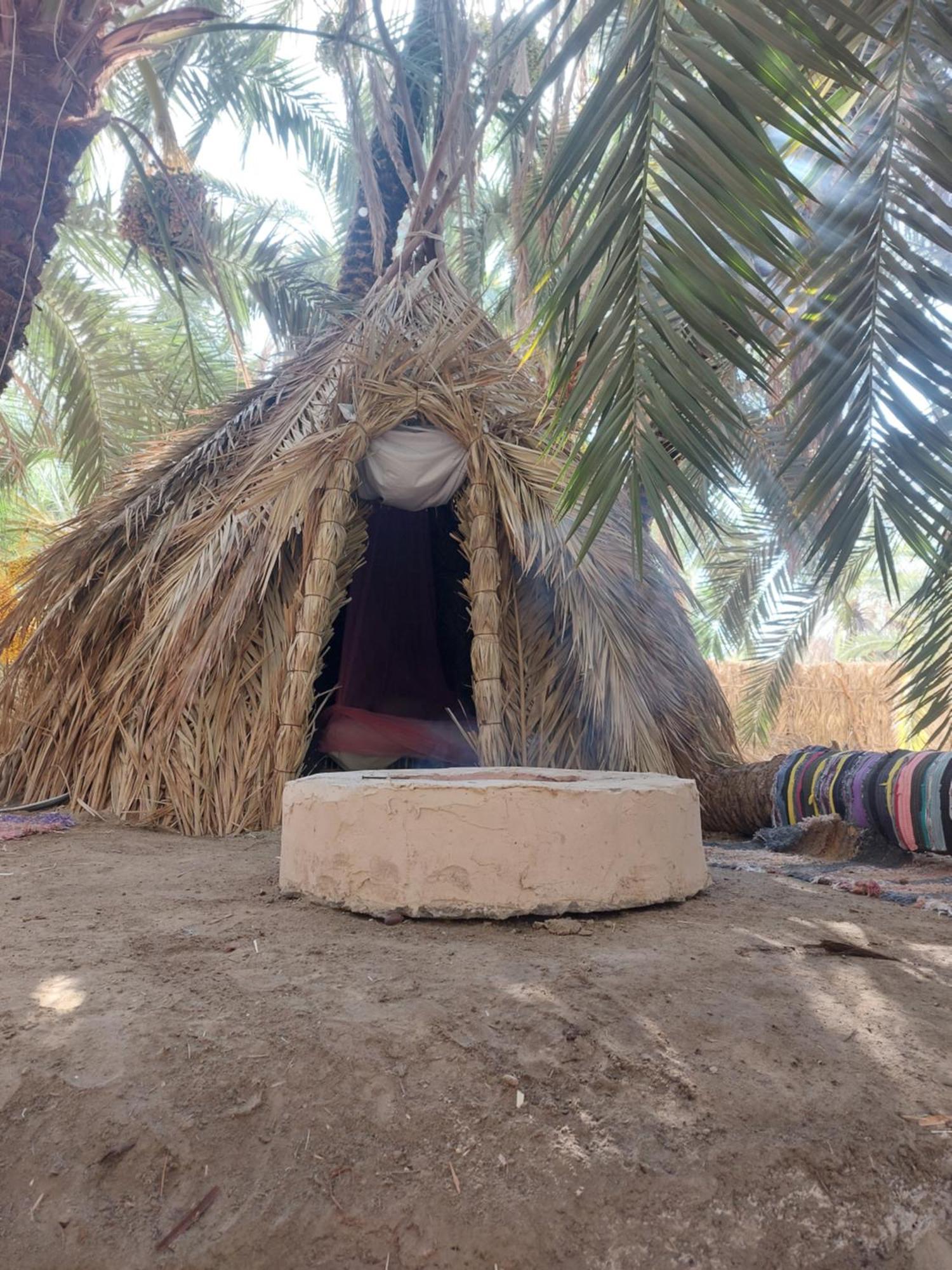 Forest Camp Siwa - كامب الغابة Siwa Oasis Buitenkant foto