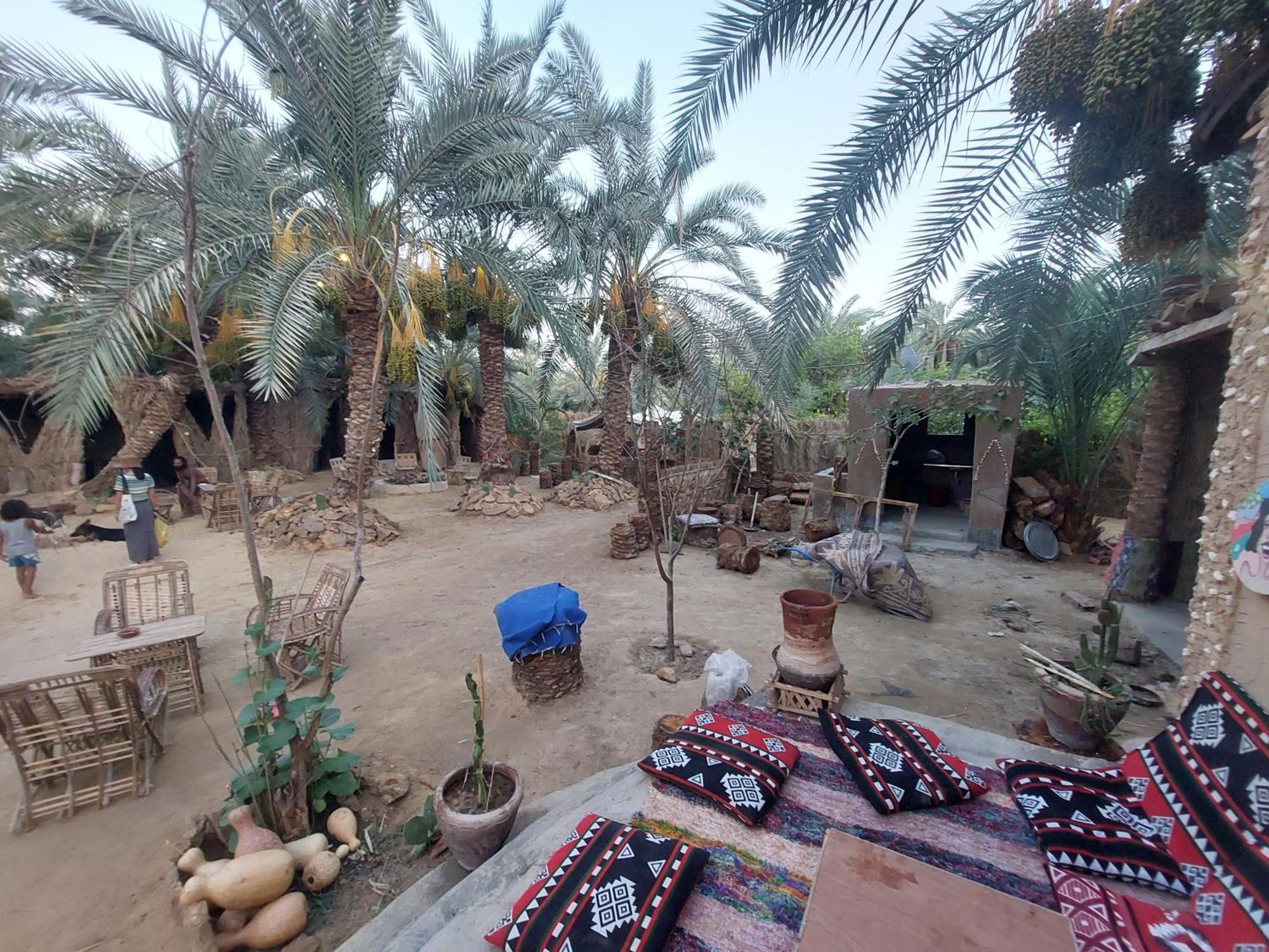 Forest Camp Siwa - كامب الغابة Siwa Oasis Buitenkant foto