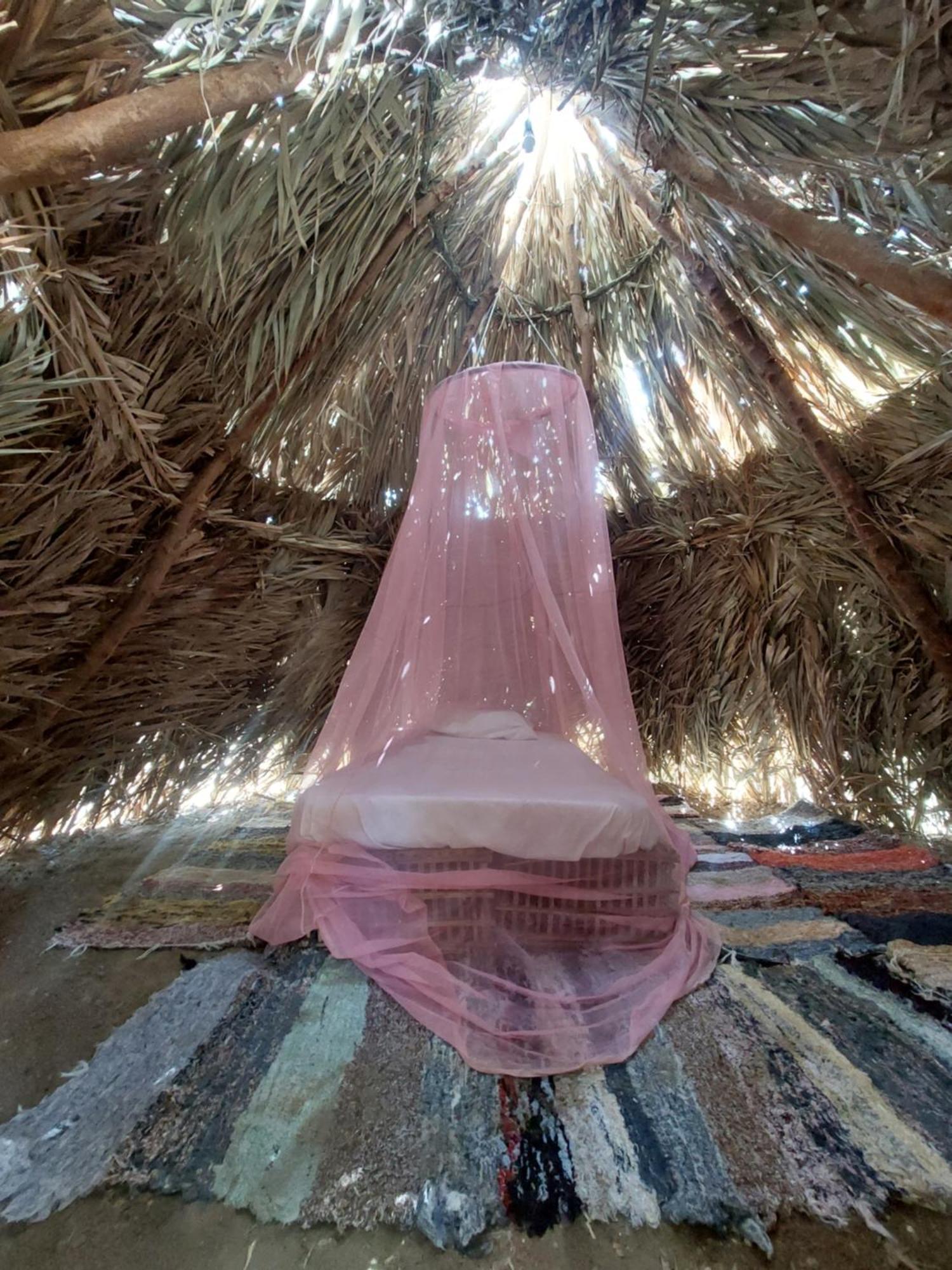 Forest Camp Siwa - كامب الغابة Siwa Oasis Buitenkant foto
