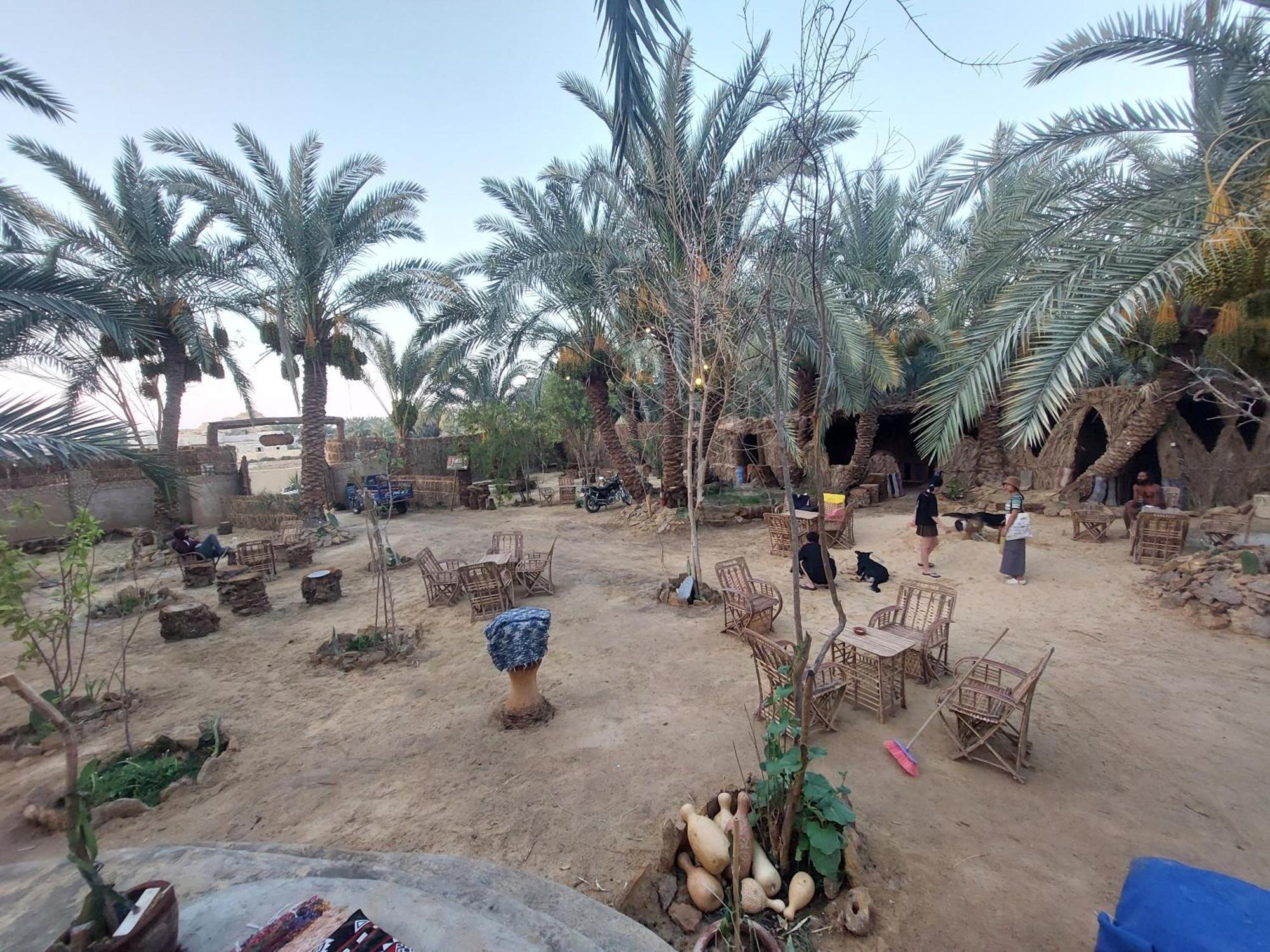 Forest Camp Siwa - كامب الغابة Siwa Oasis Buitenkant foto
