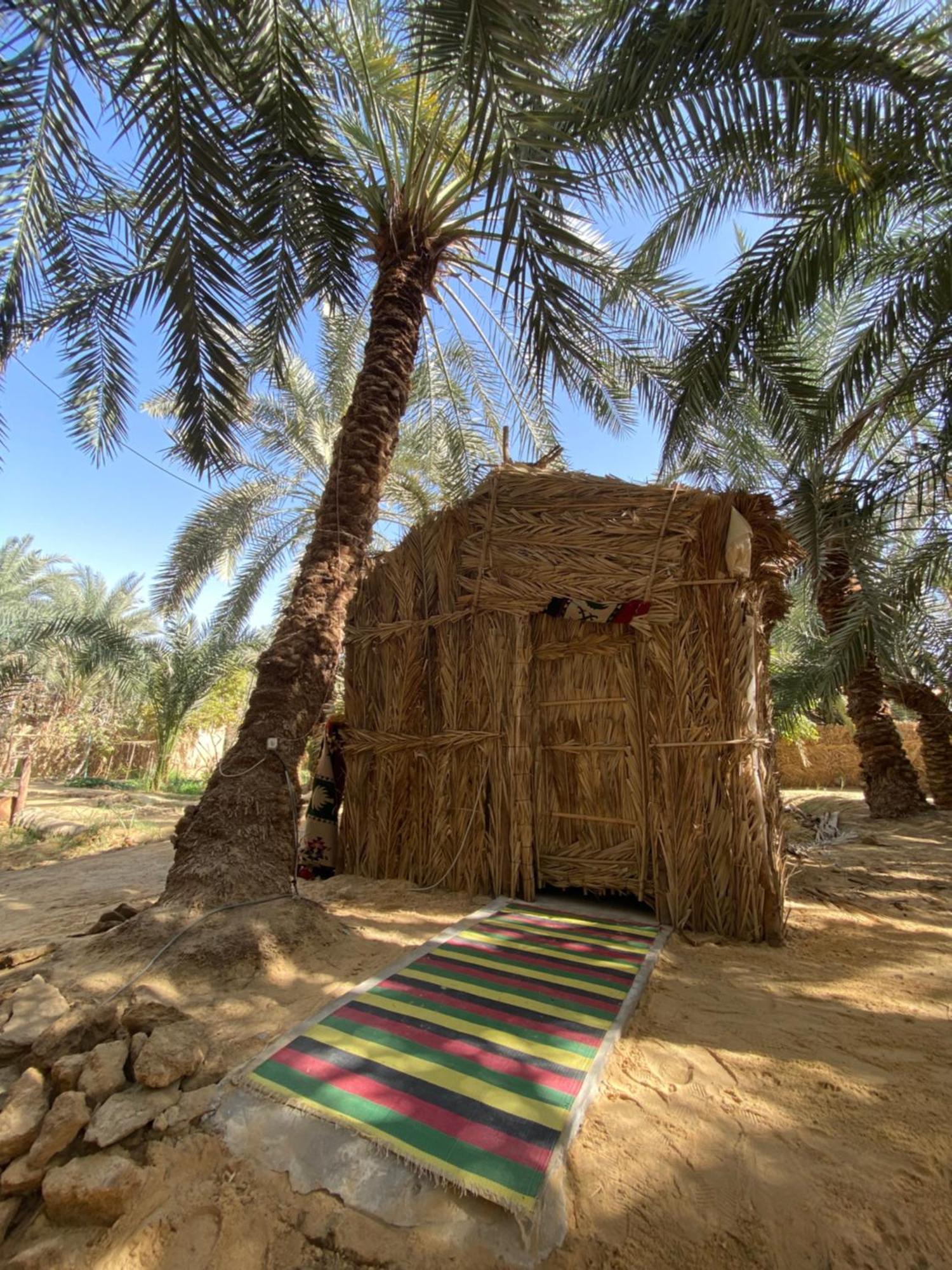 Forest Camp Siwa - كامب الغابة Siwa Oasis Buitenkant foto
