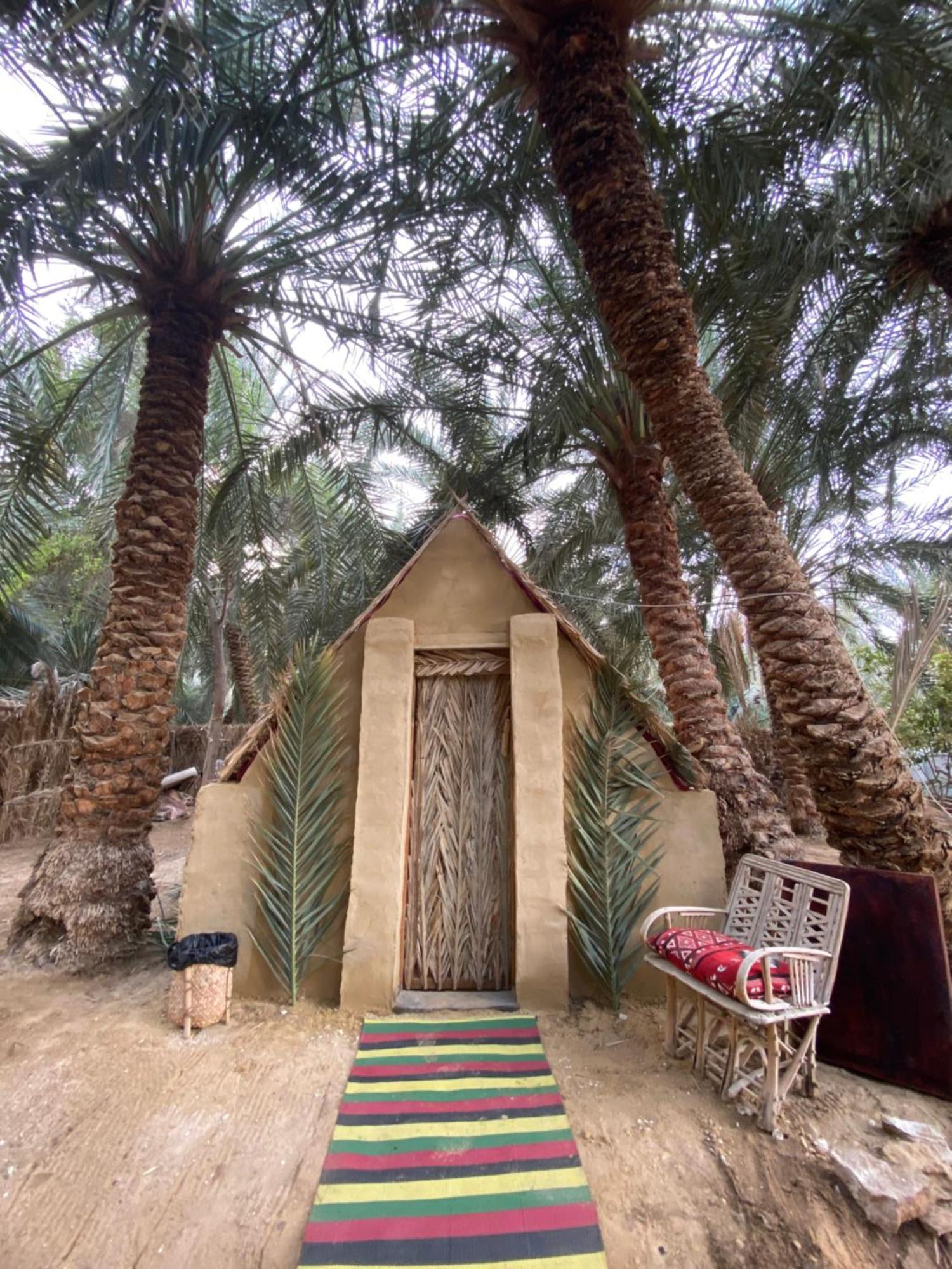 Forest Camp Siwa - كامب الغابة Siwa Oasis Buitenkant foto