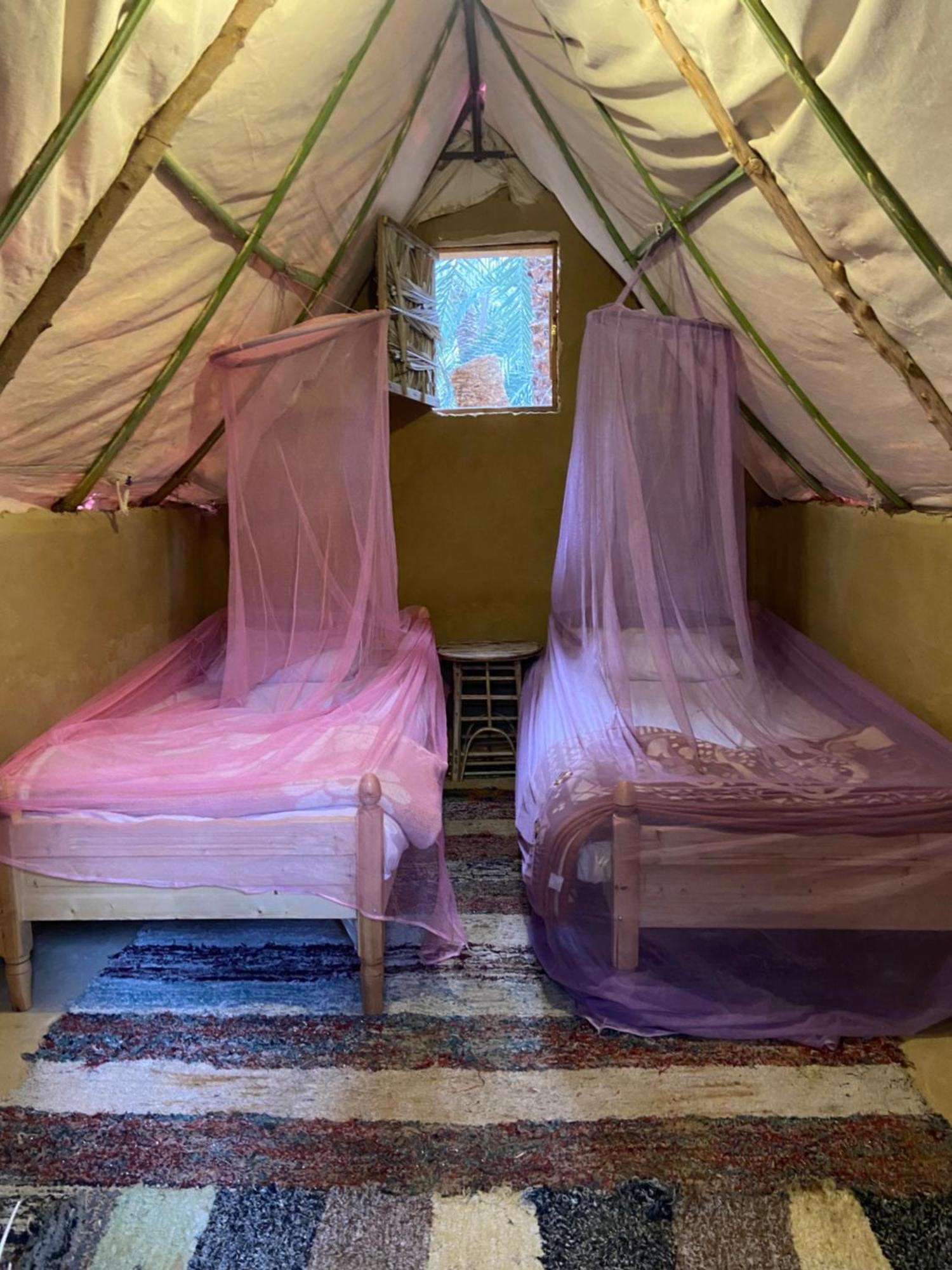 Forest Camp Siwa - كامب الغابة Siwa Oasis Buitenkant foto
