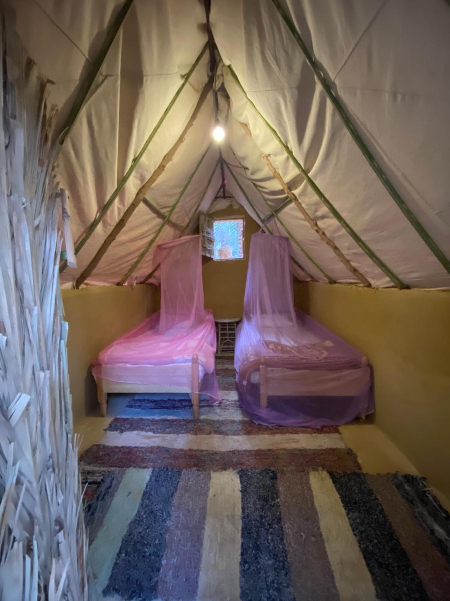 Forest Camp Siwa - كامب الغابة Siwa Oasis Buitenkant foto