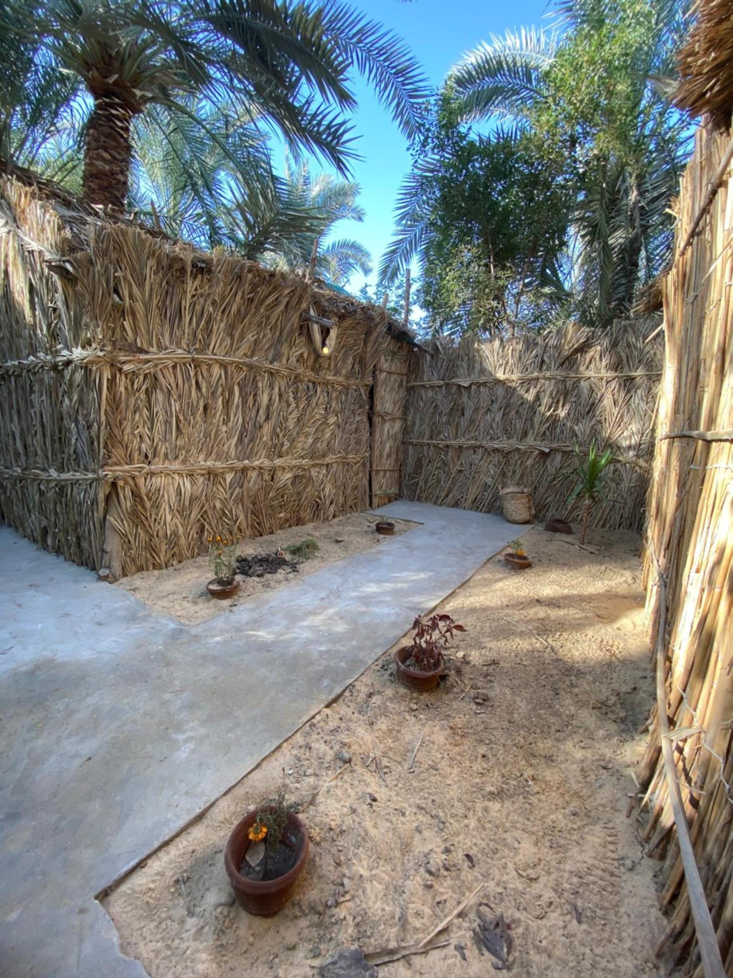Forest Camp Siwa - كامب الغابة Siwa Oasis Buitenkant foto