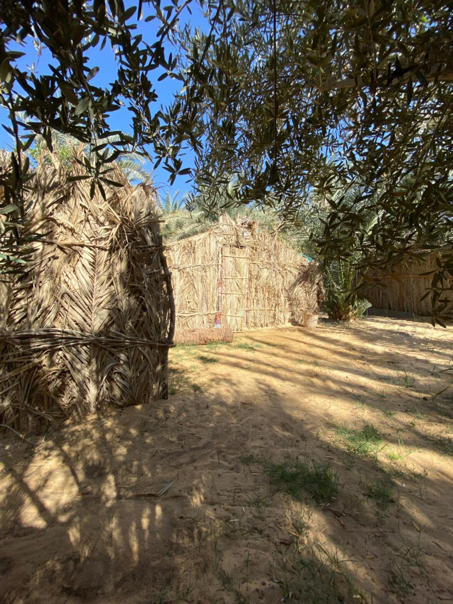 Forest Camp Siwa - كامب الغابة Siwa Oasis Buitenkant foto
