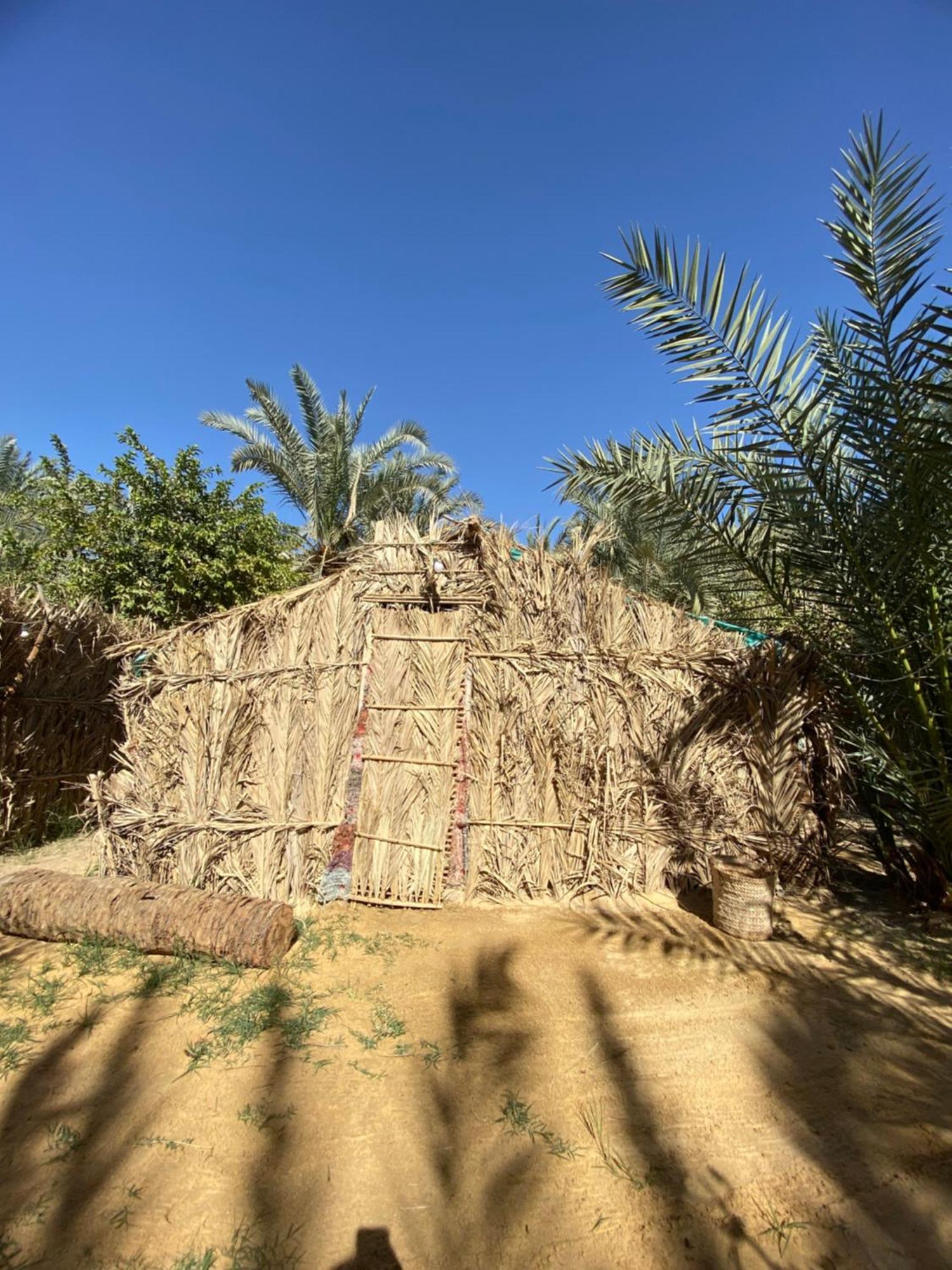 Forest Camp Siwa - كامب الغابة Siwa Oasis Buitenkant foto