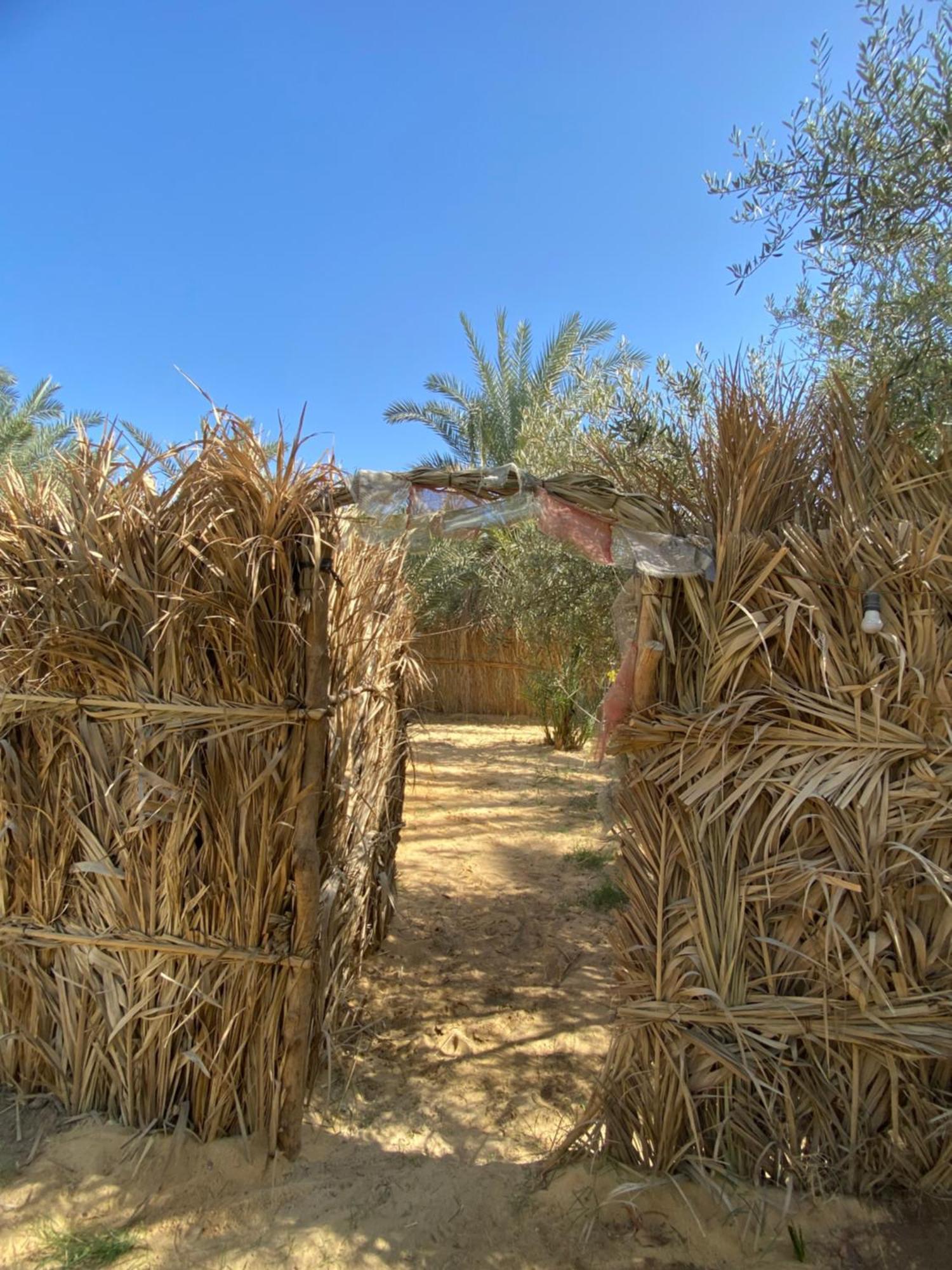 Forest Camp Siwa - كامب الغابة Siwa Oasis Buitenkant foto