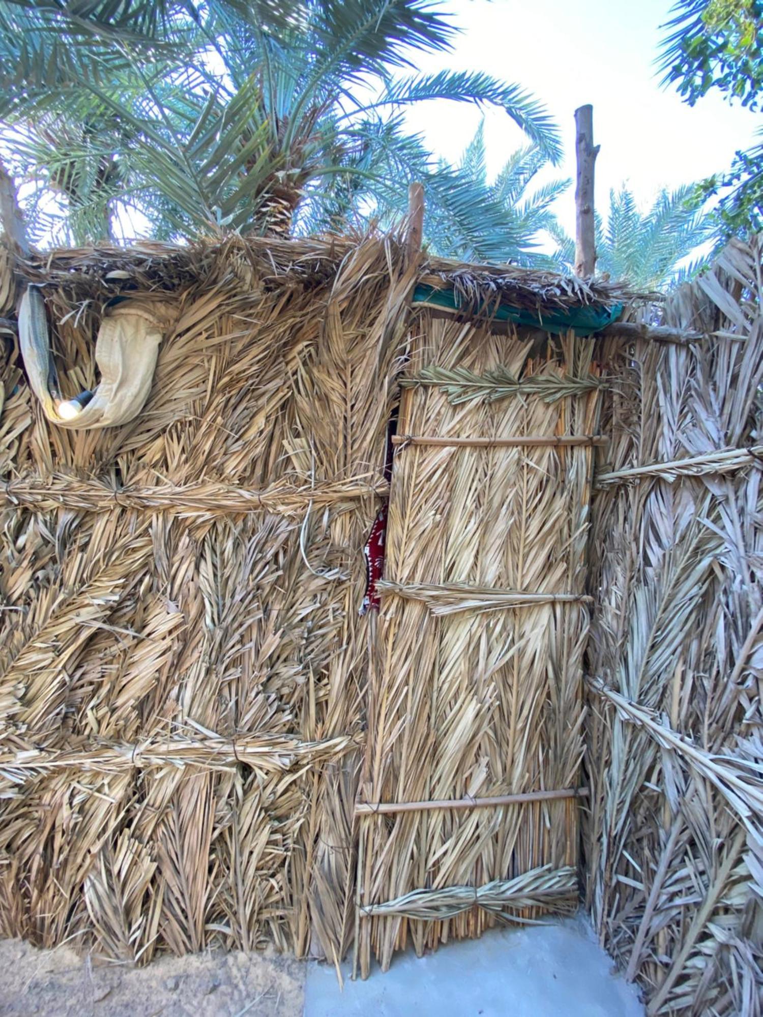 Forest Camp Siwa - كامب الغابة Siwa Oasis Buitenkant foto