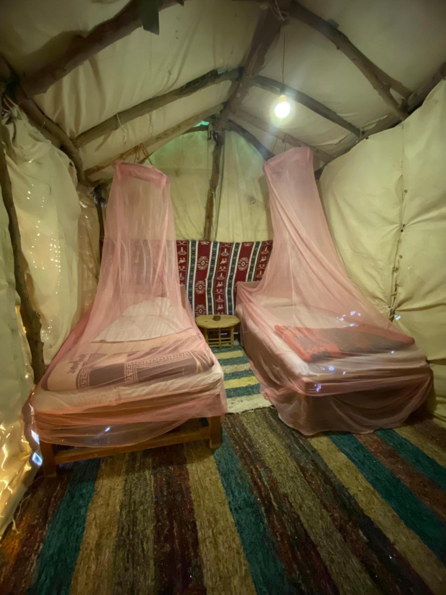 Forest Camp Siwa - كامب الغابة Siwa Oasis Buitenkant foto